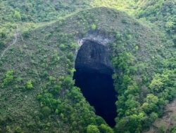 Cina Temukan Hutan Purba Tersembunyi di Dalam Lubang Raksasa