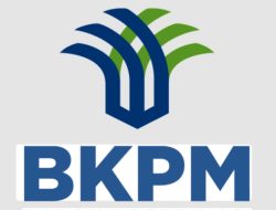 BKPM Sebut Yang Menjadi Faktor Utama Terhambatnya Masuknya Investasi karena Tinggi nya Harga Lahan dan Premanisme
