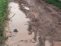 Jalan Yang Rusak Dan Tergenang Air Di Jalan Karya Baru Palembang Dikeluhkan Warga Sekitar