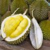 Durian Tak Enak Dimakan, Turis Minta Ganti Rugi ke Pedagang Penang