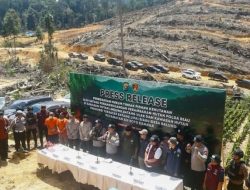 Perambahan Hutan Lindung di Kampar untuk Penanaman Sawit Ilegal