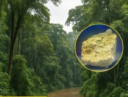 Harta Karun Nuklir di Kalbar: 24.112 Ton Uranium Terungkap di Melawi