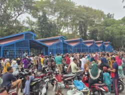 Distribusi Daging Kurban Di Pemkab Deli Serdang Amburadul. Panitia Seperti Tidak Siap!