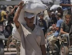 AS dan Israel Disebut Selundupkan Narkotika dalam Bantuan Terigu untuk Warga Gaza