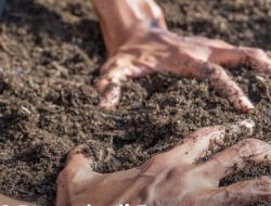 Dua Pemuda di Bogor Ketahuan Korek-Korek Tanah, Ternyata Sedang Transaksi Narkoba