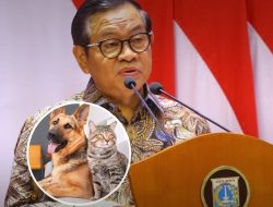 Pramono Tandatangani Pergub Larang Jual-Beli Daging Anjing & Kucing