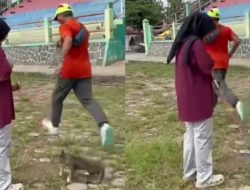 Kucing Peliharaan Tewas Usai Diduga Ditendang Orang Tak Dikenal, Kasus Penganiayaan Hewan Tuai Kecaman