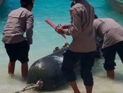 ‎Benda Mirip Rudal Ditemukan Warga di Lombok, Diduga Perangkat Teknologi Asal China