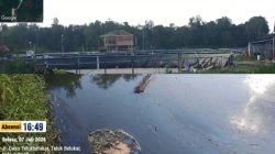 Limbah Tambak Udang Diduga Mengalir ke Sungai Kecil, Warga Khawatir Ekosistem Mangrove Terancam