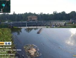 Limbah Tambak Udang Diduga Mengalir ke Sungai Kecil, Warga Khawatir Ekosistem Mangrove Terancam