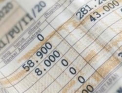 Simak Daftar 10 Provinsi yang Gelar Pemutihan Pajak Kendaraan per Juli 2026