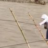 Bertaruh Nyawa Demi Tuntut Ilmu: Jagat Maya Dihebohkan Video Pelajar di Aceh Seberangi Sungai Berarus Deras Hanya Bermodal Seutas Tali