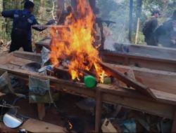 Tim Gabungan Ratakan 47 Titik Tambang Emas Ilegal di Hutan Lindung Dairi, Polisi Buru Pemodal  ‎