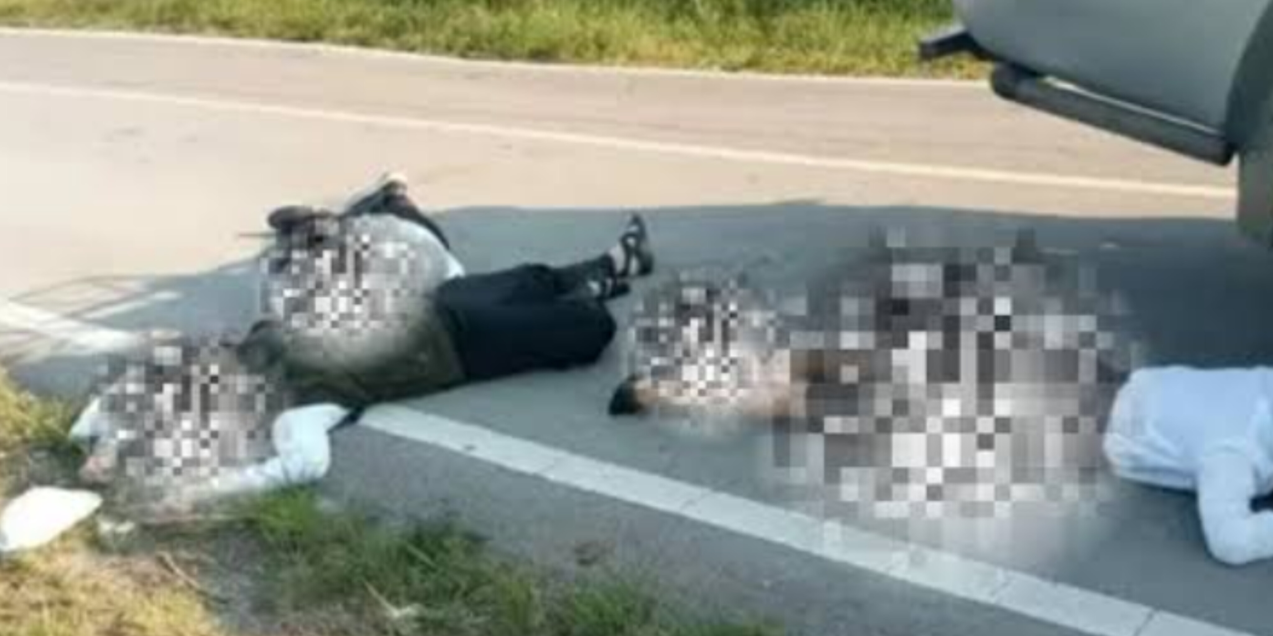 Tiga Orang Tewas di Jalan Kampung Mulia Papua Jaya, Aparat Lakukan Investigasi Penembakan